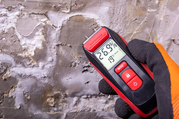 Best Office Mold Removal Services  in Oxford, IN